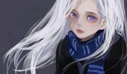 哈里哈里动漫,奇幻冒险之旅